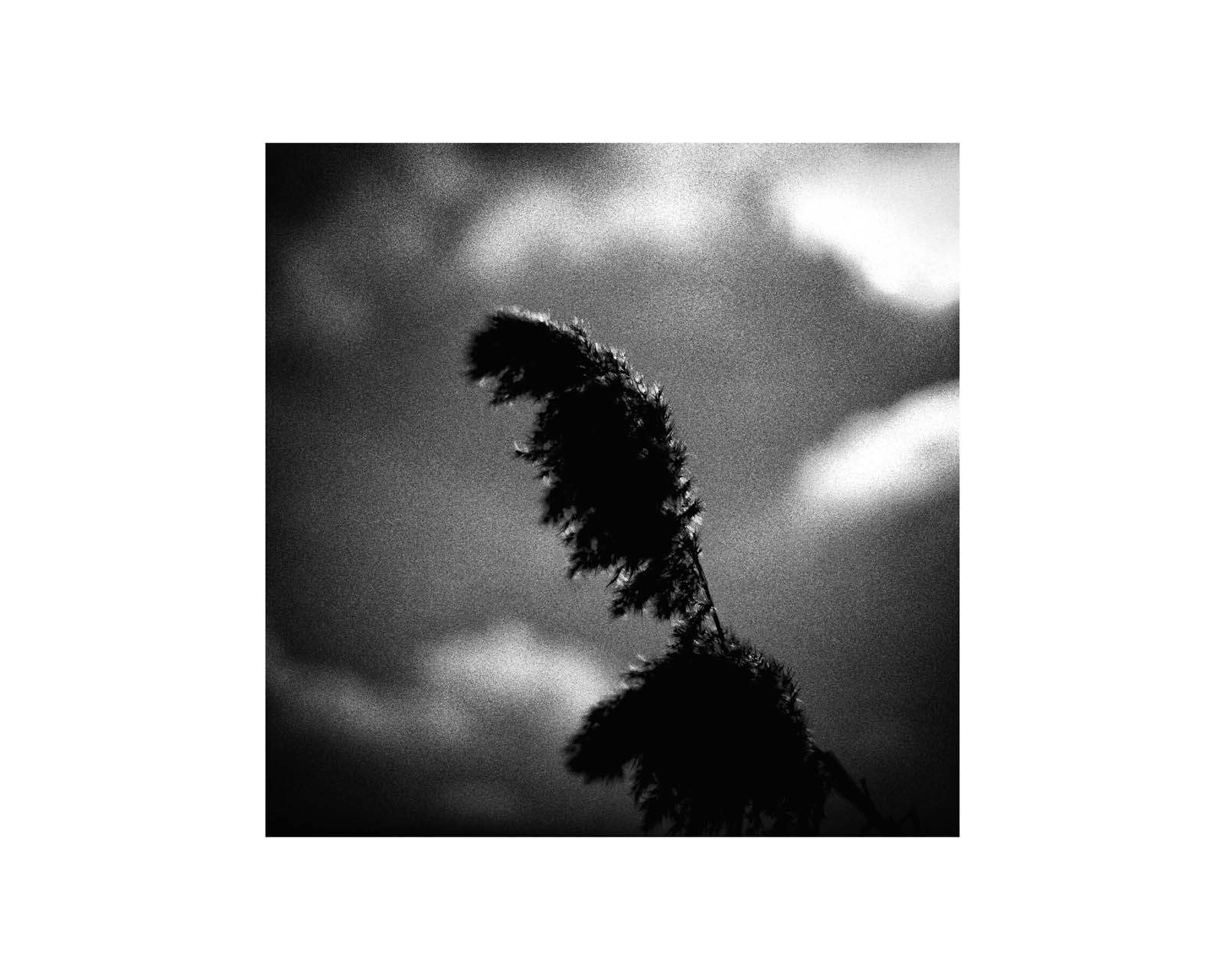 proyectos personales proyectos personales