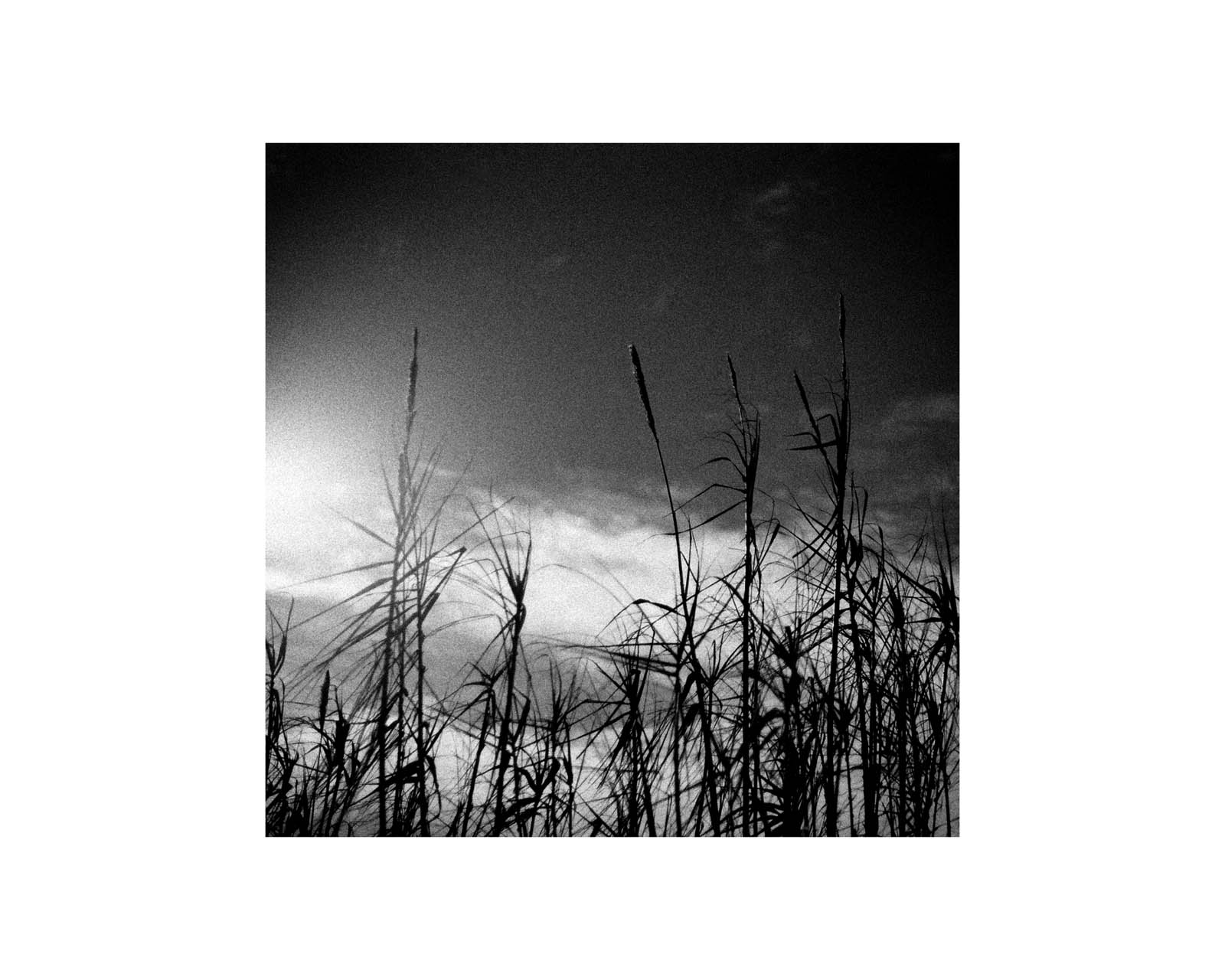 proyectos personales proyectos personales