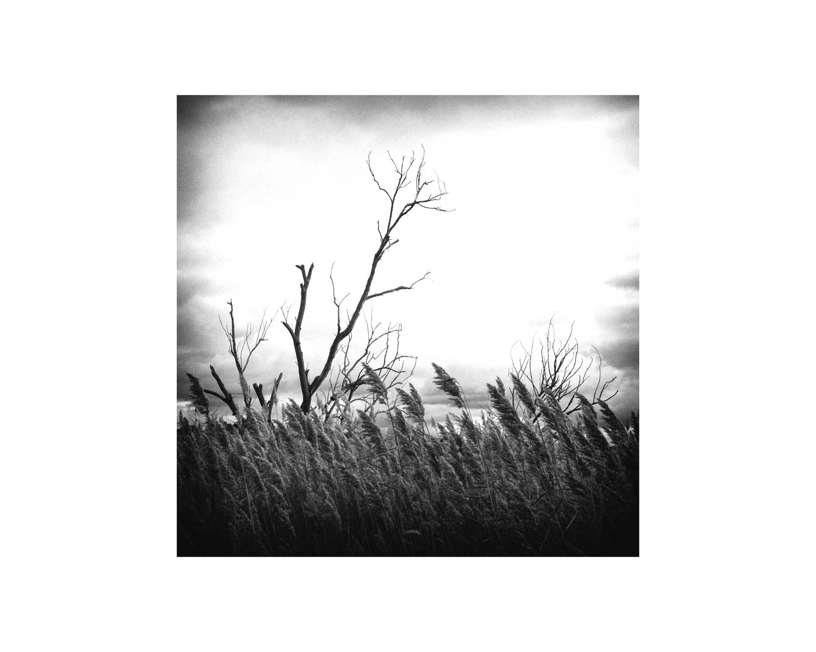 proyectos personales proyectos personales