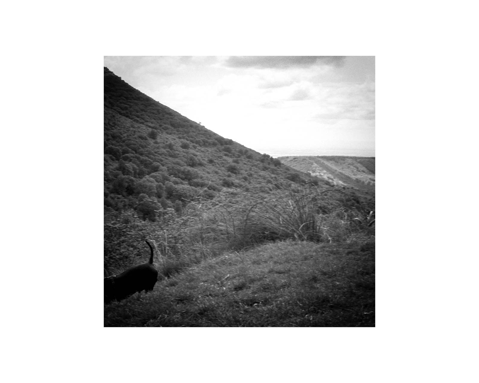 proyectos personales proyectos personales