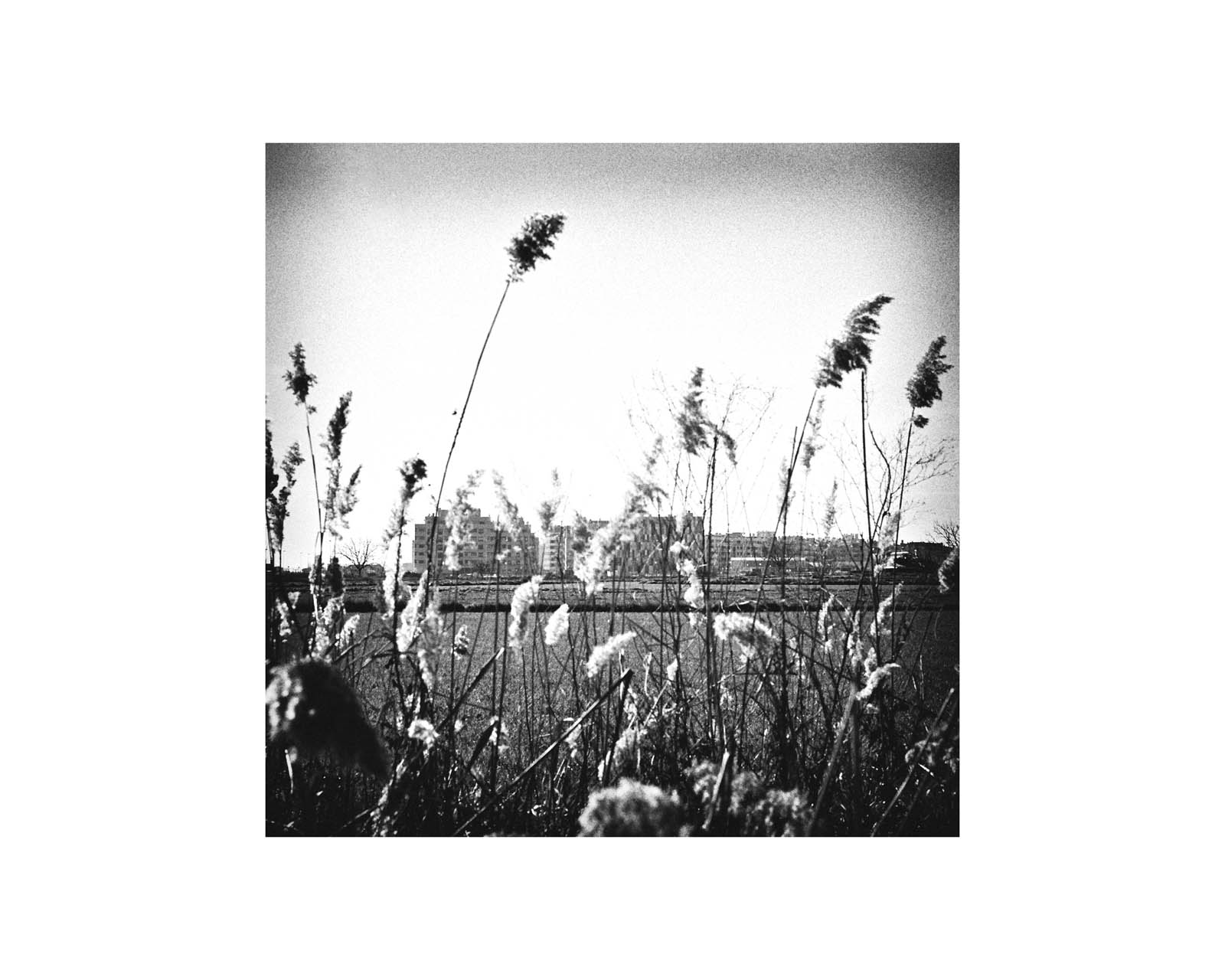 proyectos personales proyectos personales