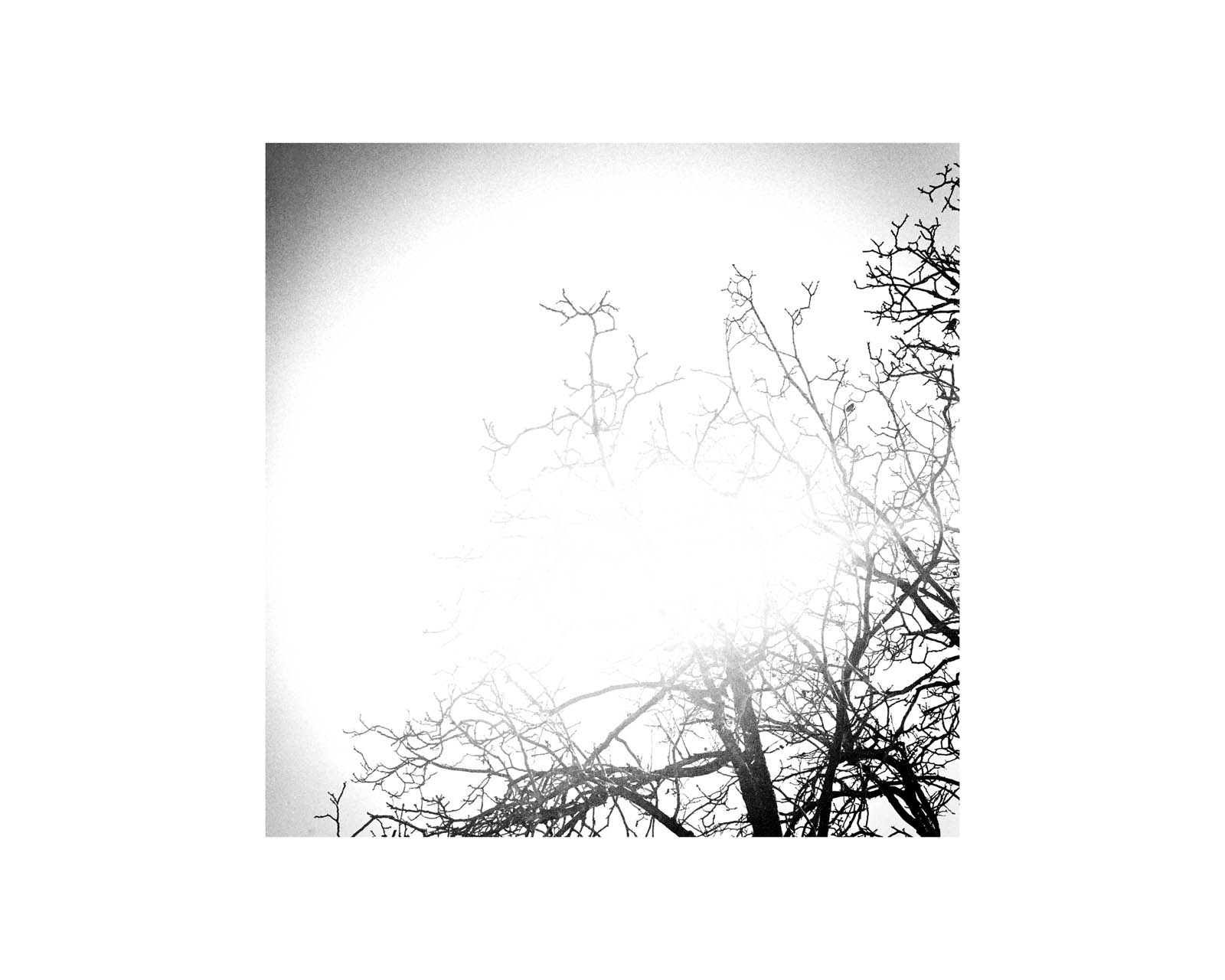 proyectos personales proyectos personales