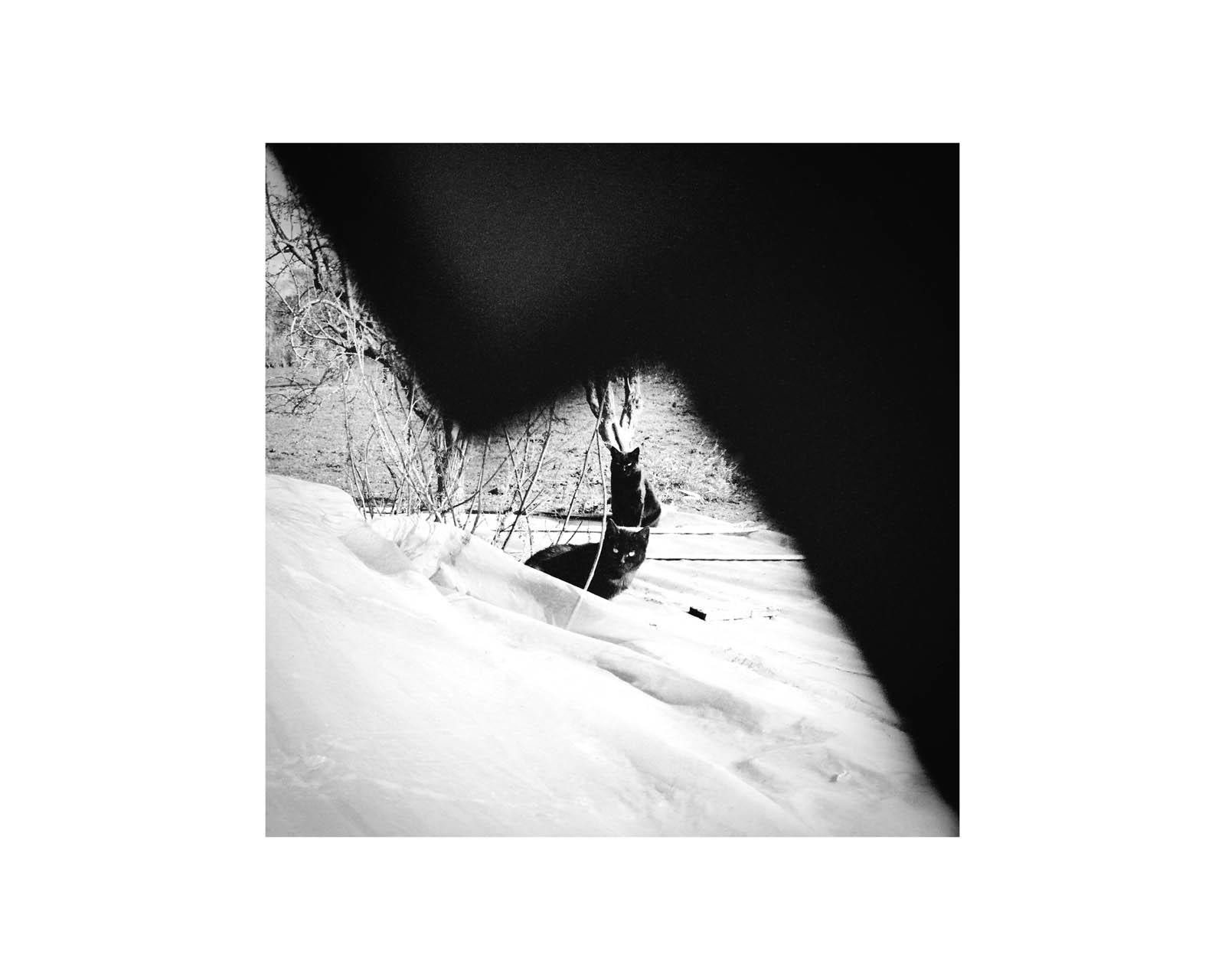 proyectos personales proyectos personales