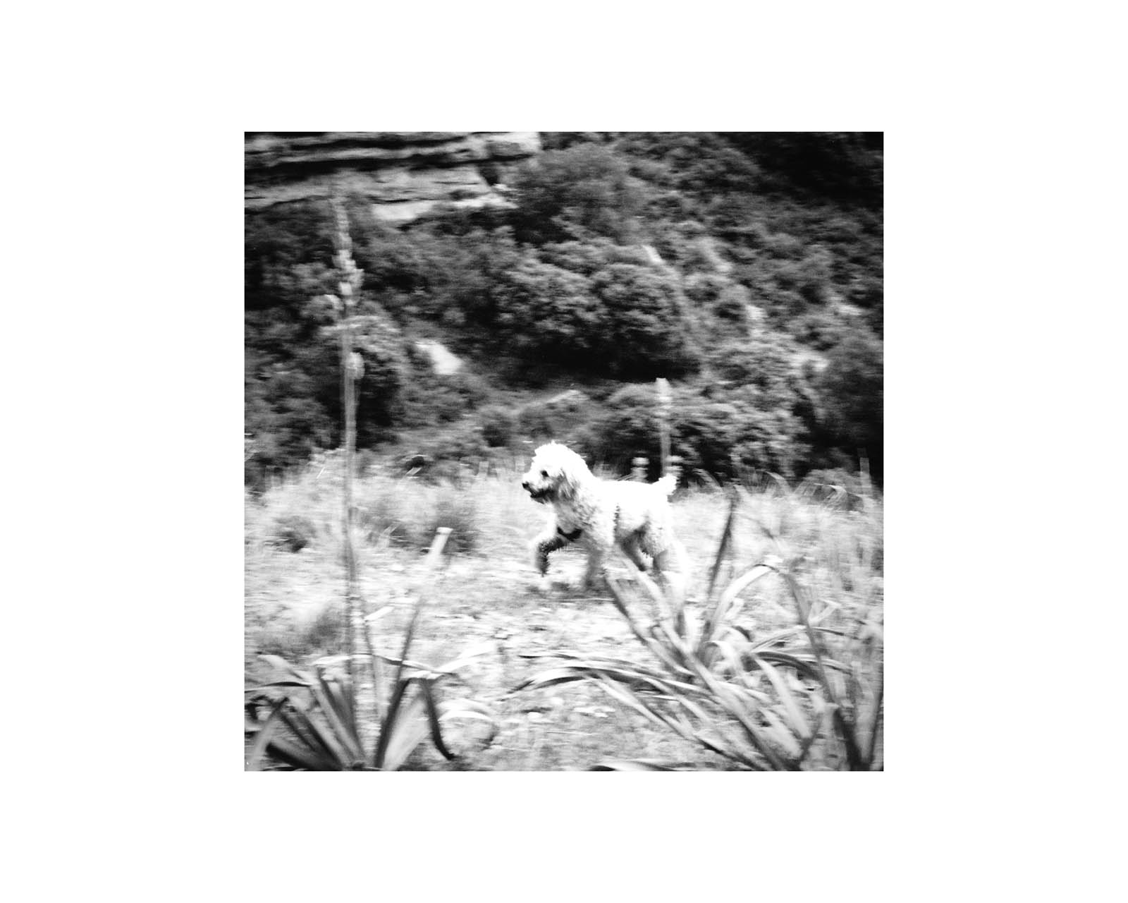 proyectos personales proyectos personales